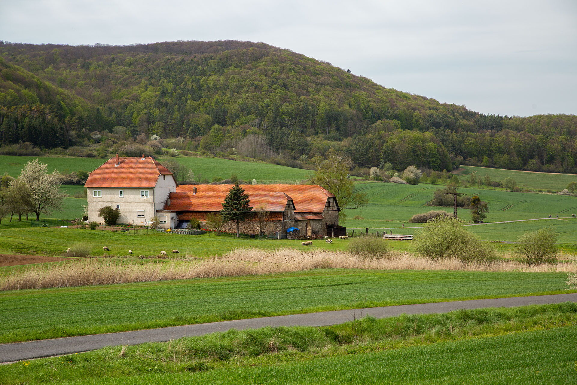 Gesamtansicht Hof Schrapfendorf bei Schnellmannshausen mit Feldern und Wald