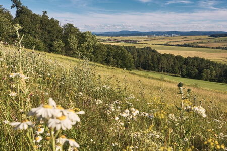 Der Fliegerhang auf dem Harsberg